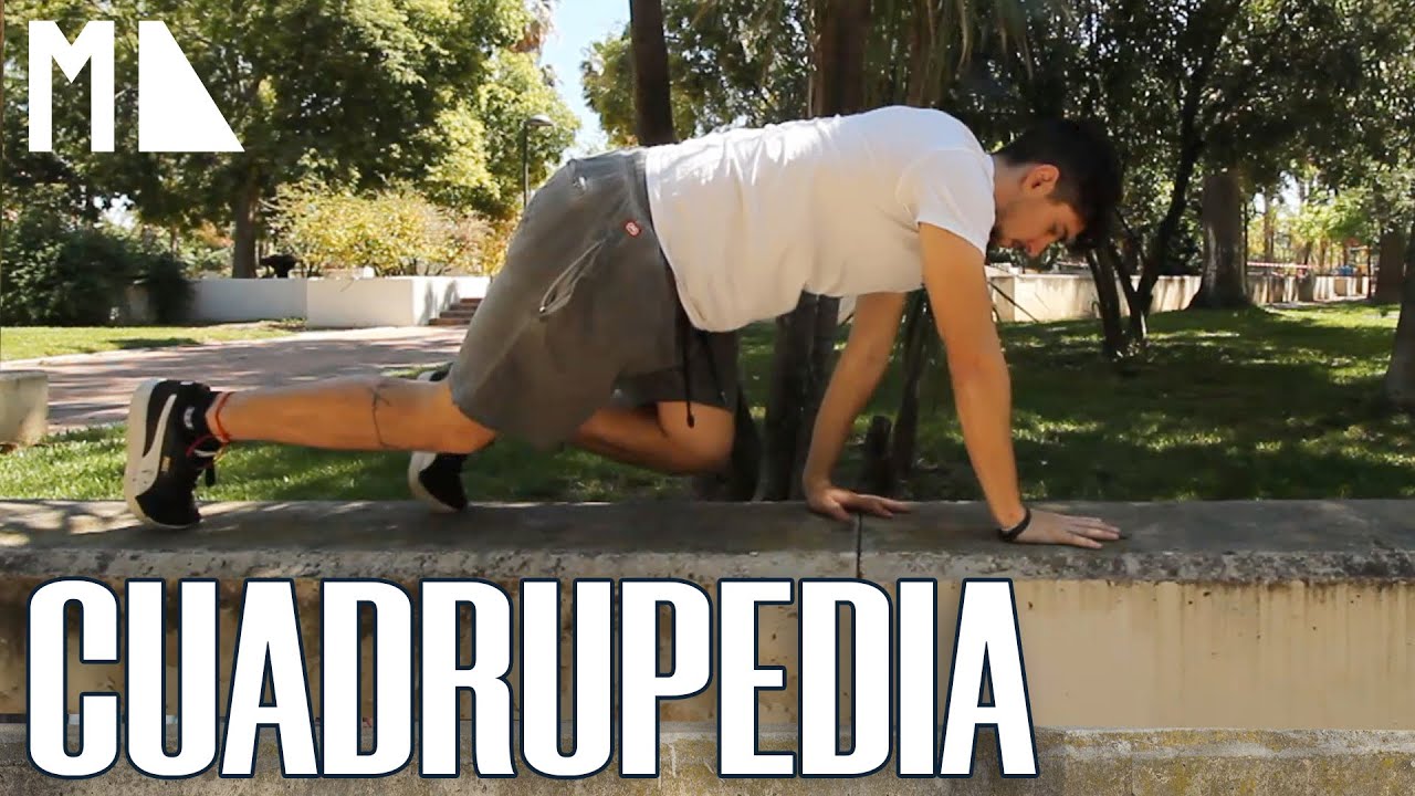 TUTORIAL DE PARKOUR #08 / CUADRUPEDIA