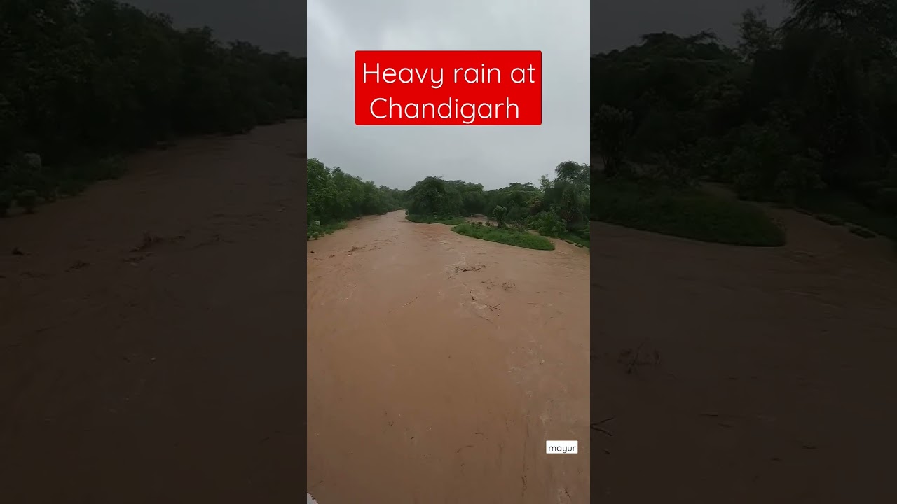 HEAVY RAIN AT CHANDIGARH 😵&zwj;💫👍🔥  Flood at CHANDIGARH