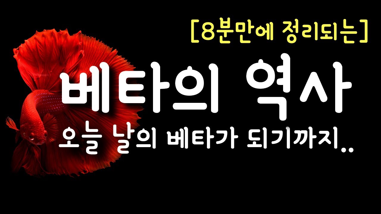베타의 역사, 8분만에 정리하기 - [베타 A to Z vol.1] History of Betta Fish