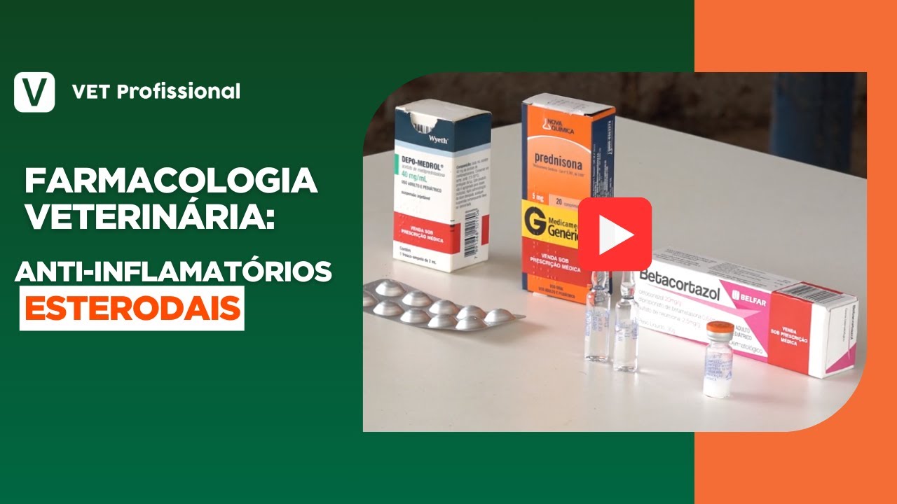 Farmacologia Veterinária | Anti-inflamatórios Esteroidais