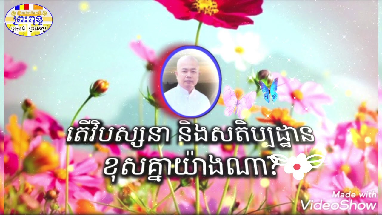 តើវិបស្សនានិងសតិប្បដ្ឋានខុសគ្នាយ៉ាងណា? -អុឹម រ៉ៃយ៉ា