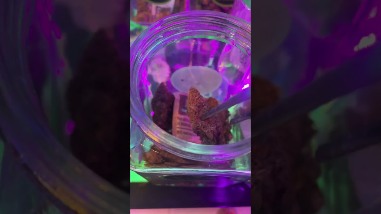 Ultimate quality #marijuana #weed