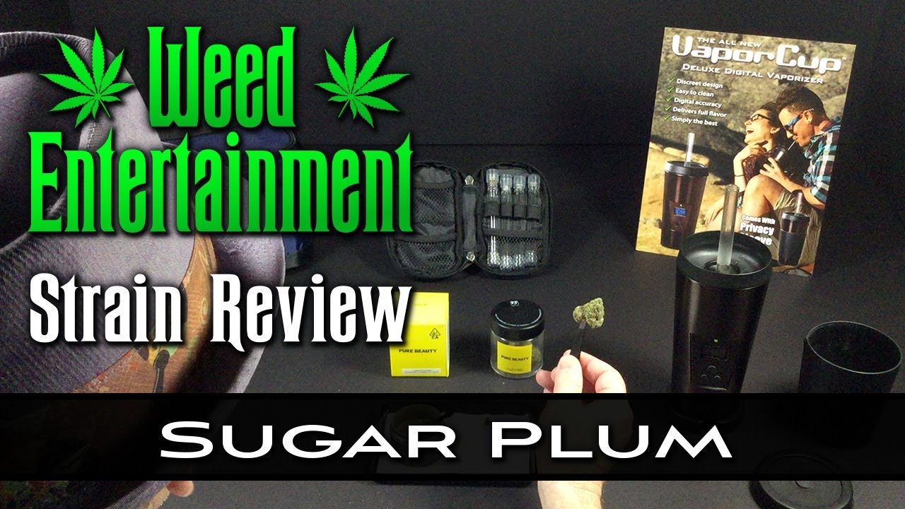 Sugar Plum - Sativa - by Pure Beautiy - Strain Review - from Cannabis Cafe, Holywood Ca