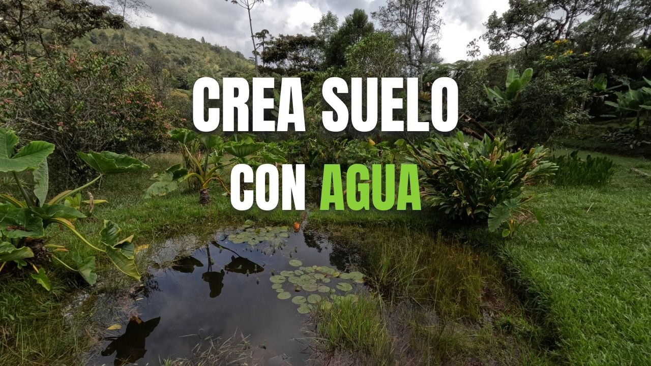 Usa el agua para crear más suelo | Estrategias para regenerar suelo