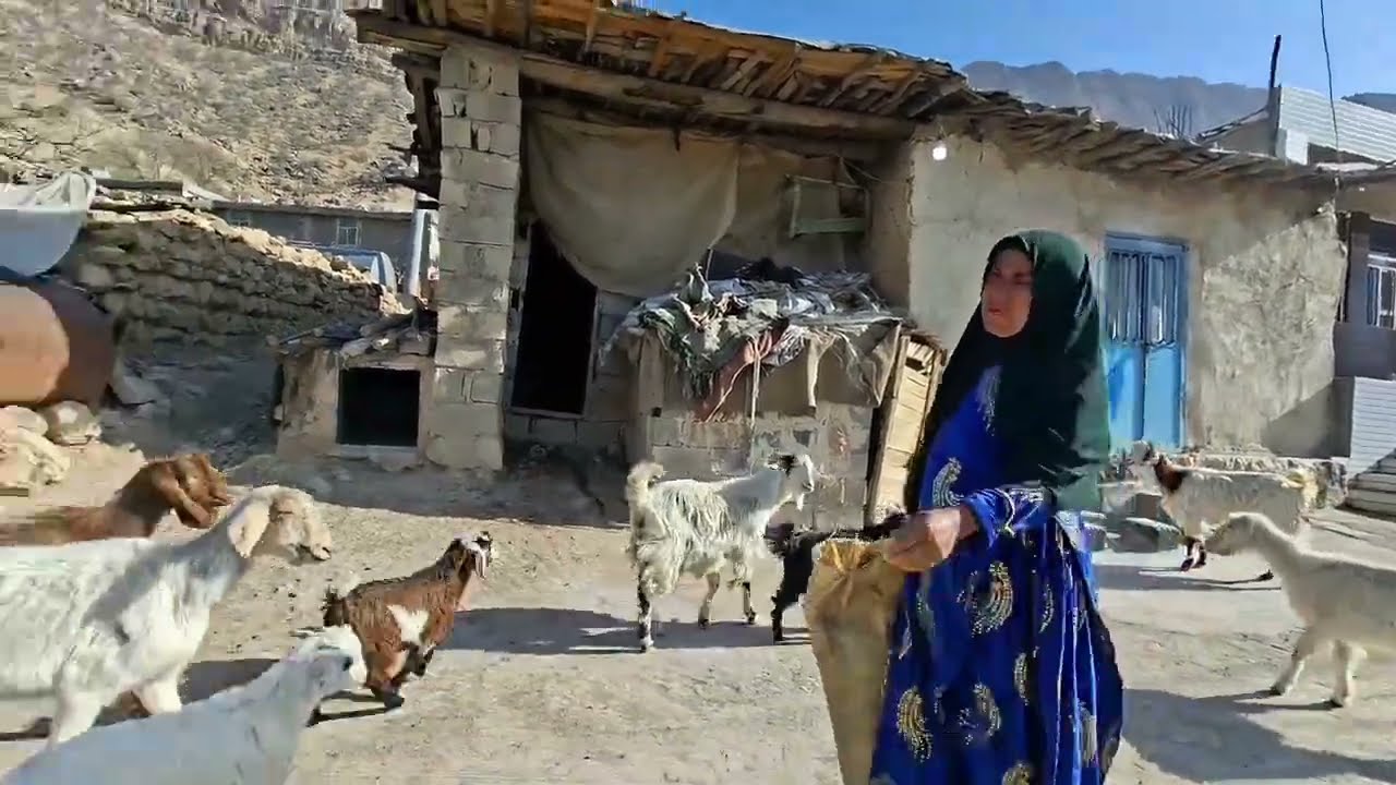 ۱۱ مارس ۲۰۲۶