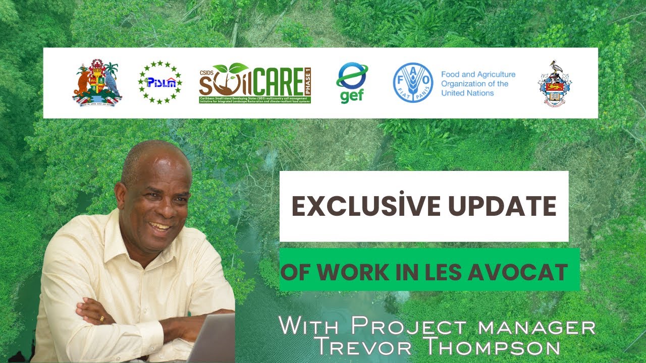 PISLM Complete 1st Phase of Rehabilitation in Les Avocat Forest Reserve Grenada