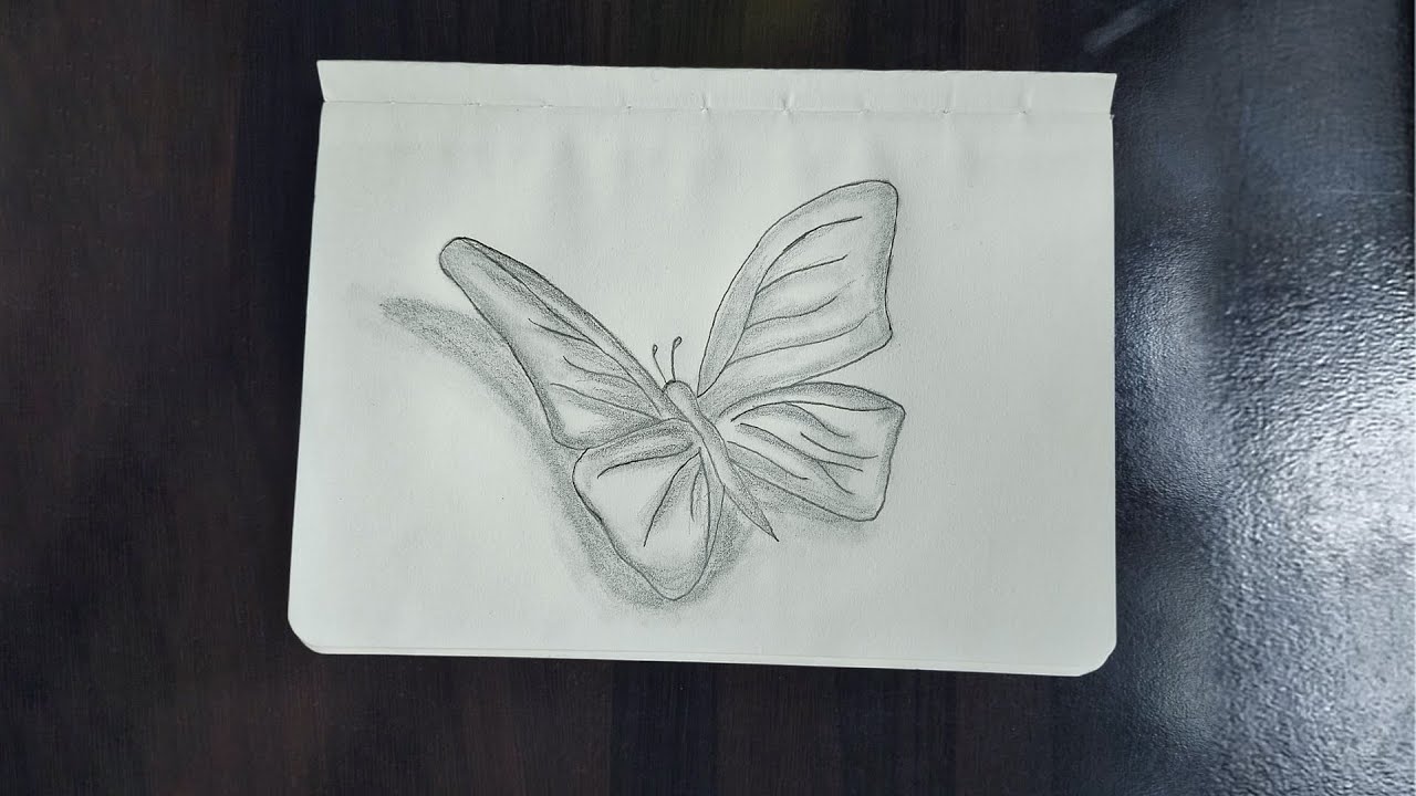 How to draw beautiful butterfly | Pencil sketch for beginners - Easy way & step by step || Somo Arts