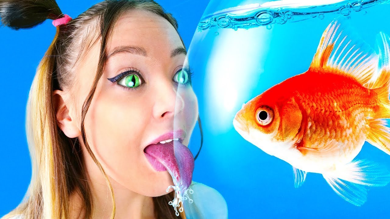 Se le persone si comportassero come gatti | Situazioni Divertenti su La La Vita Musical