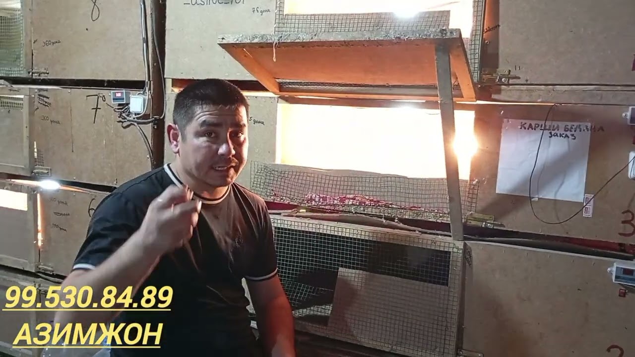 Бедана малумот
