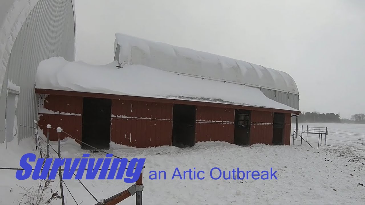 Artic Outbreak | Record Breaking Michigan January Storm