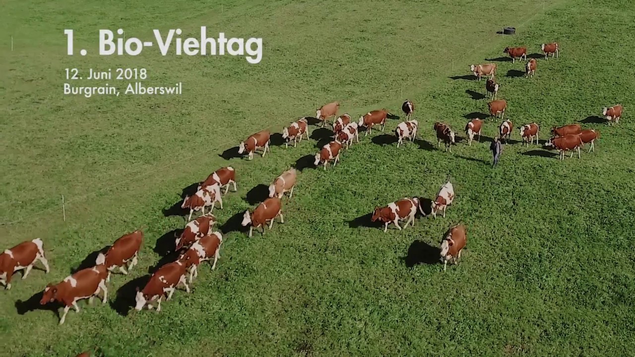 Bioviehtag 2018: Trailer (in Deutsch)
