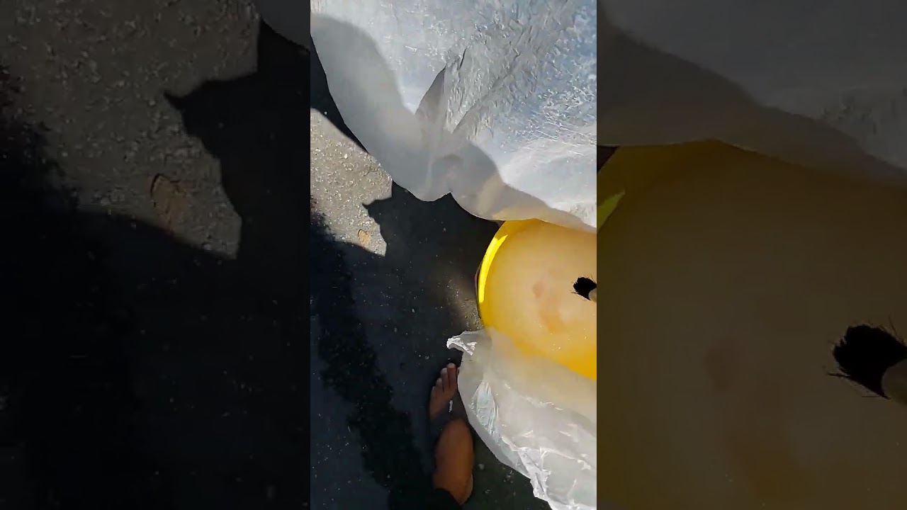 cleaning trunk water path