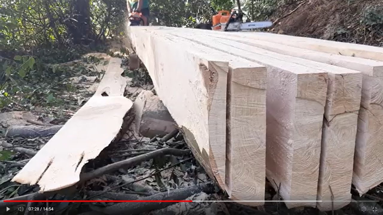 Vigas de eucalipto con motosierra