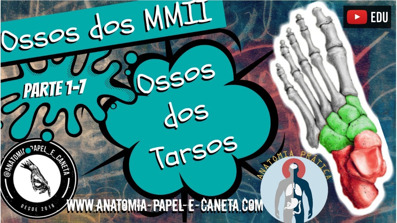 Anatomia do Pé - Ossos do Tarso - Sistema Esquelético [Anatomia Prática]