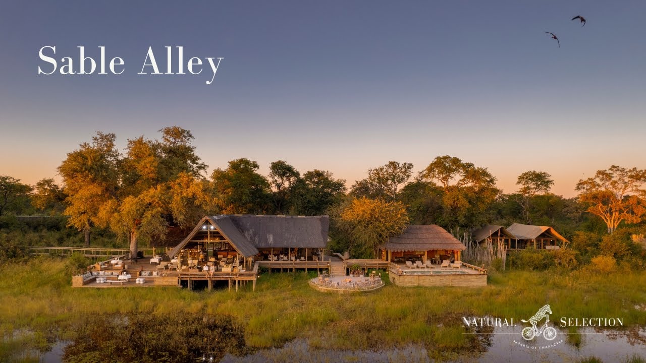 Sable Alley Camp | Khwai Private Reserve | Botswana