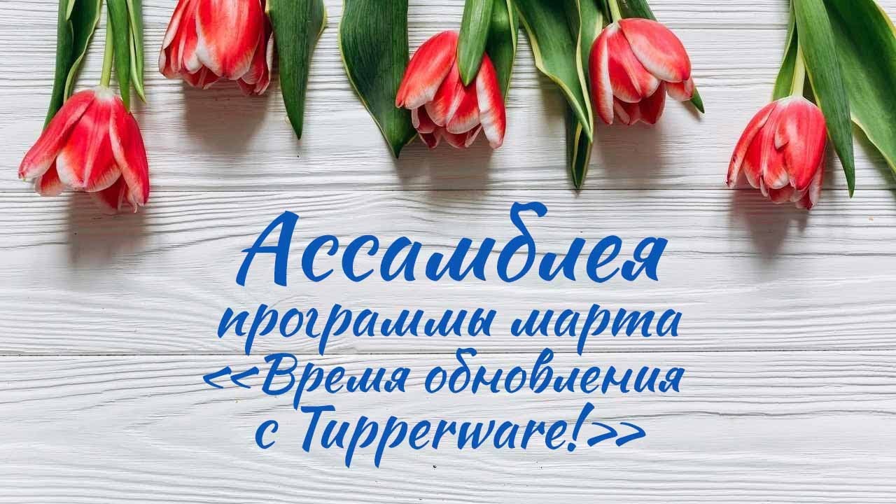 Ассамблея