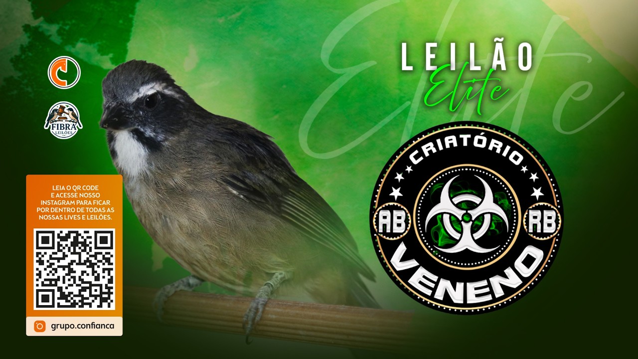 Leilão Elite Criatório Veneno