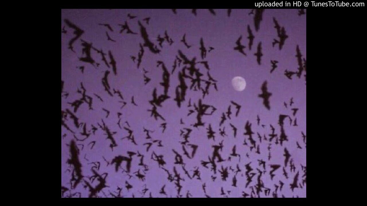 *FREE *TREFUEGO X $NOT TYPE BEAT 