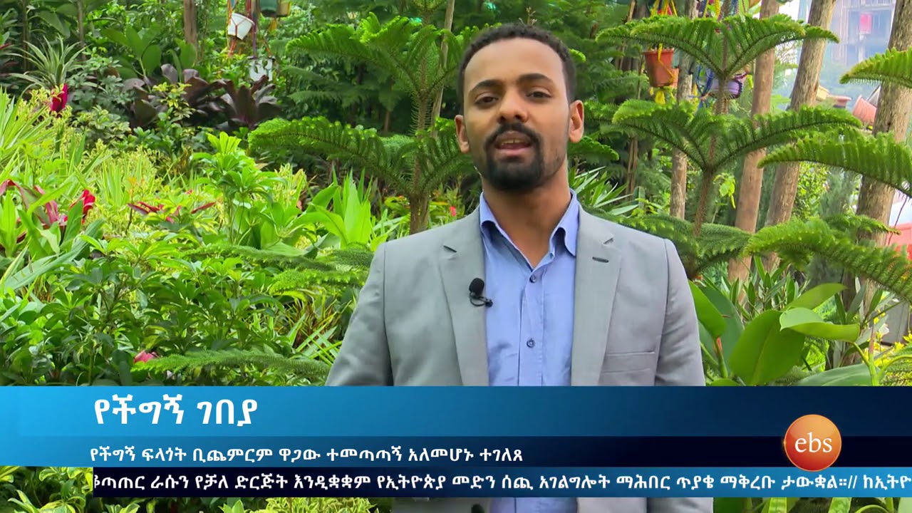 የችግኝ ዋጋ መርከሱ ጥያቄ አስነሳ/ Ethio Business