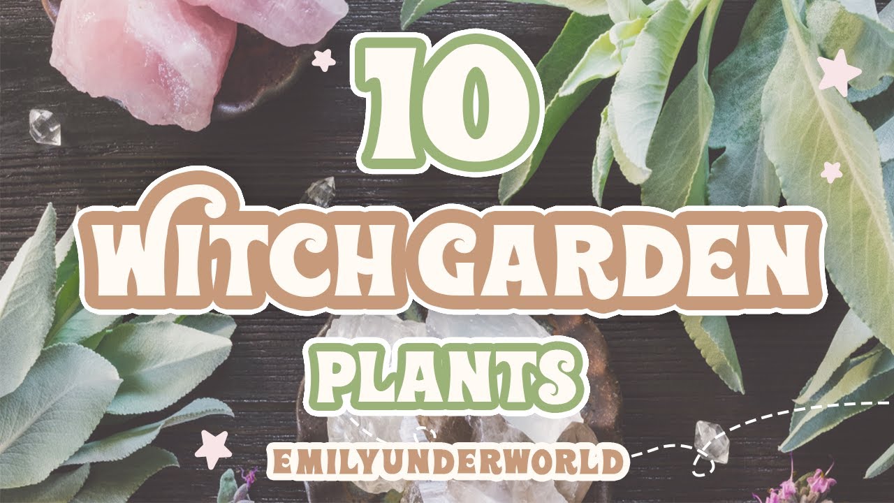 10 Magickal Herbs and Plants For Witch Gardens 🌿 Witchcraft For Beginners