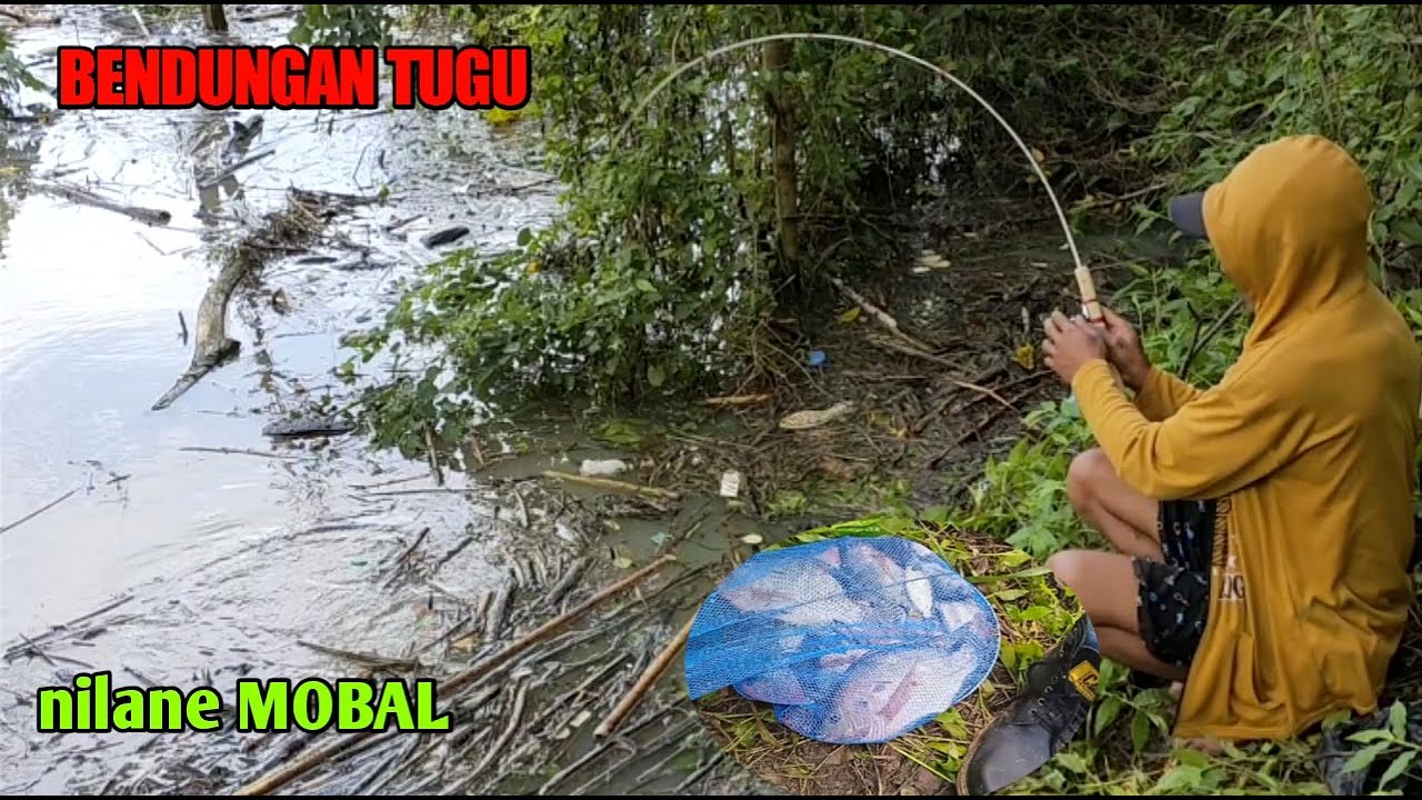 Mancing Nila di Bendungan Tugu Full Setrek Babon