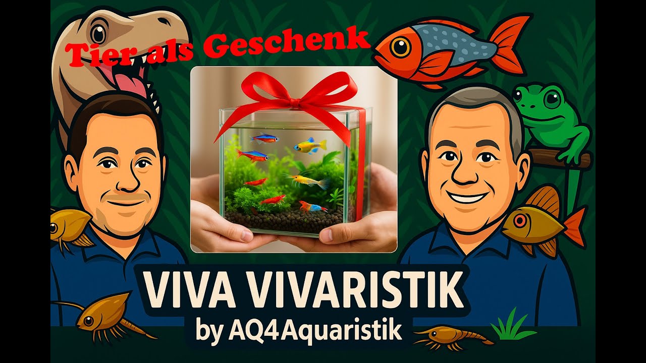 Viva Vivaristik – Folge 32: Tiere als Geschenke 🎁 Schöne Idee oder großer Fehler? So geht's richtig!