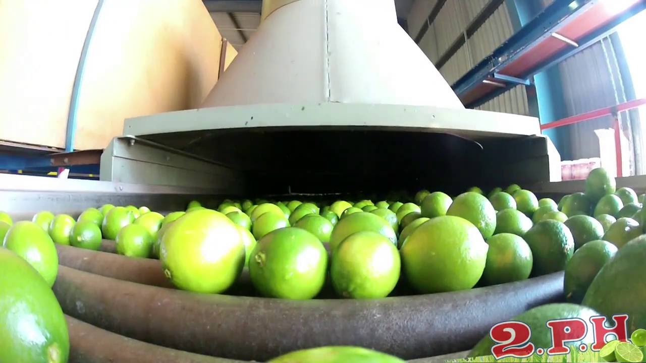 2PH Limes