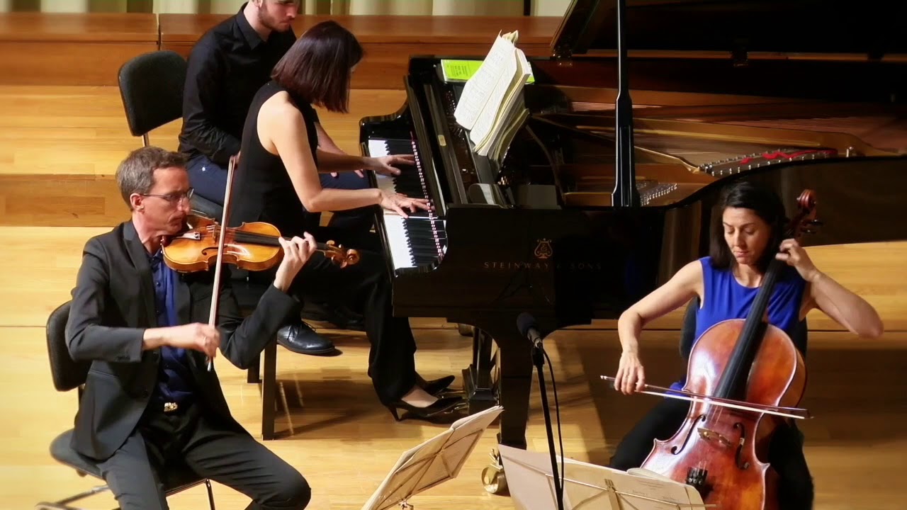 Brahms Best of op.8 piano trio TRIO VEGA