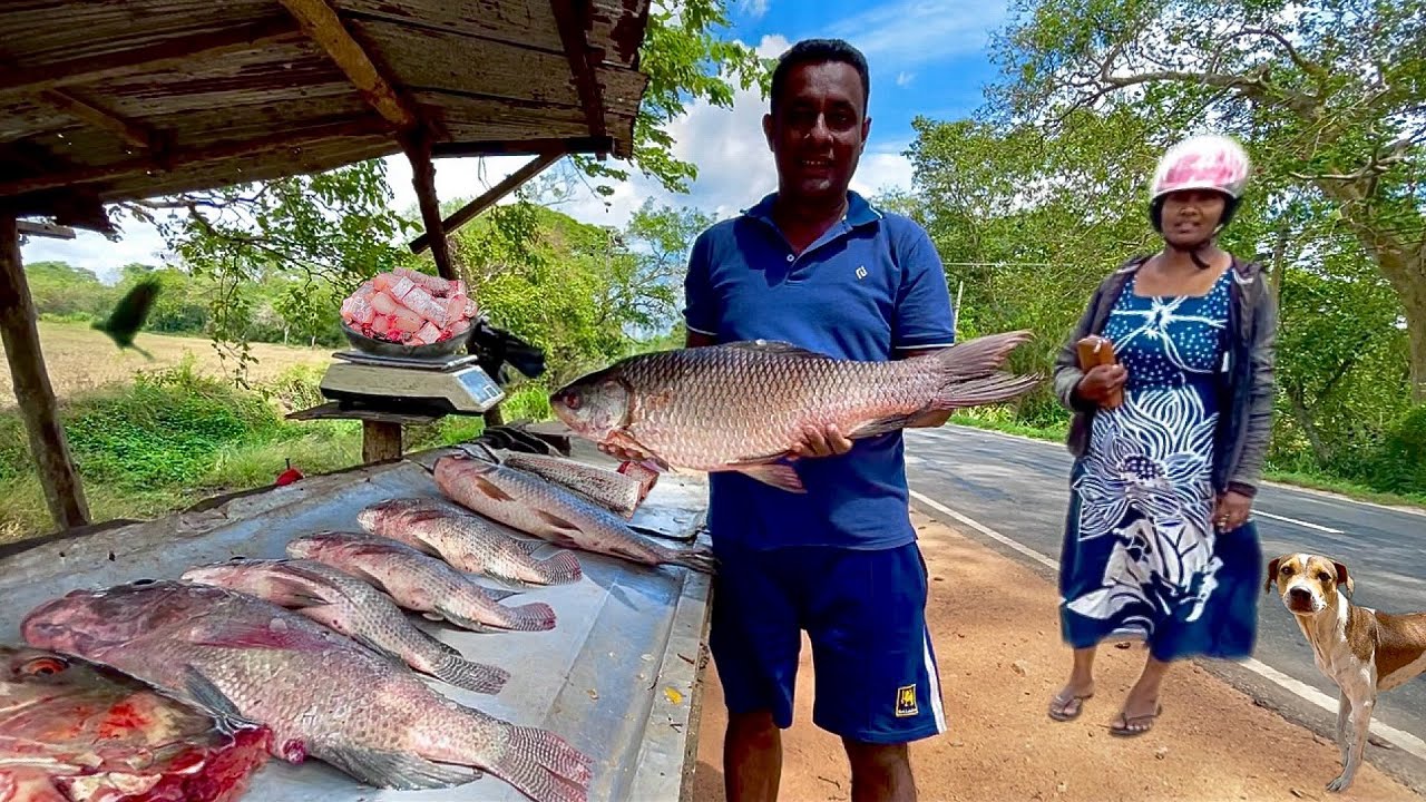 Untold! Rural Street Fisherman's EPIC Daily Island Struggle