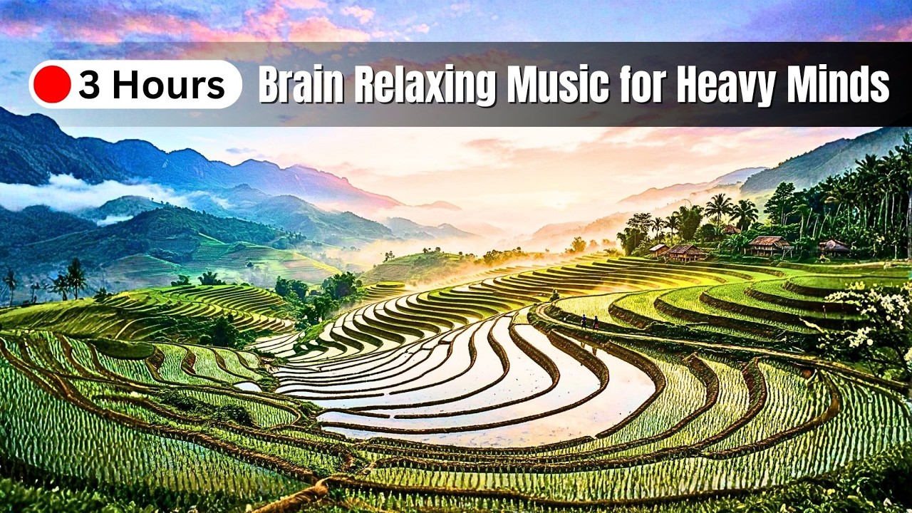 30 Minutes to Unplug Your Brain Relaxing Music for Heavy Minds