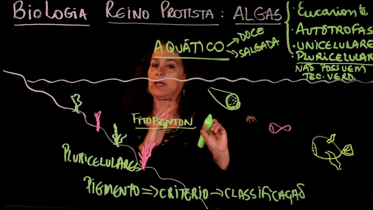 Aula 47 REINO PROTISTA parte 2 Algas - Aulas ENEM
