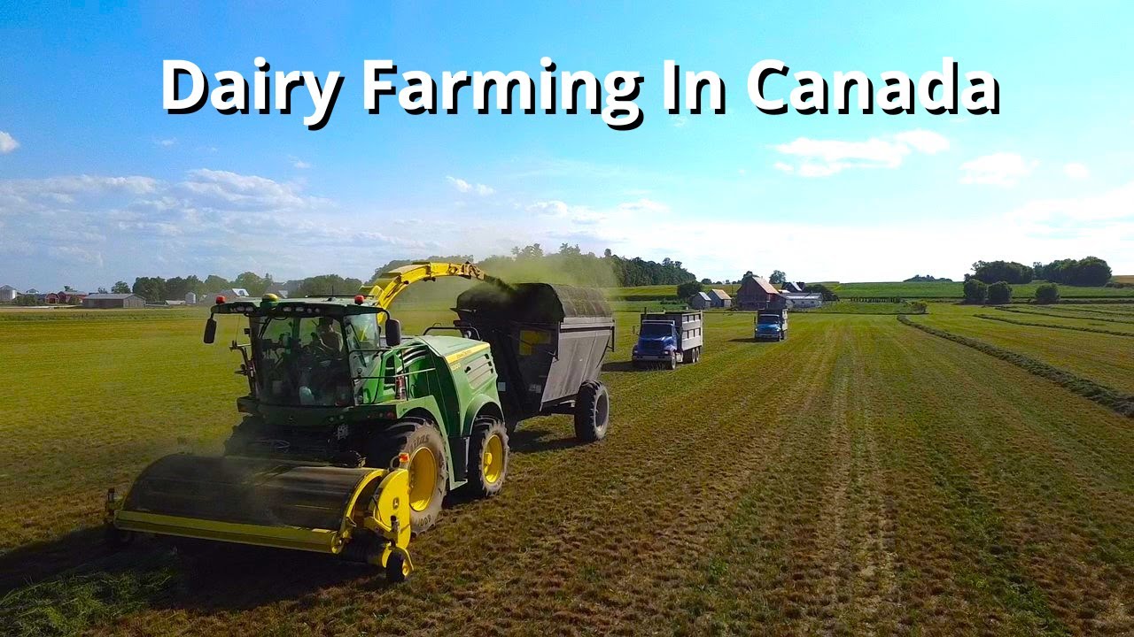Harvesting 3th cut alfalfa ~ John Deere 8300 ~ Galbraith Farms