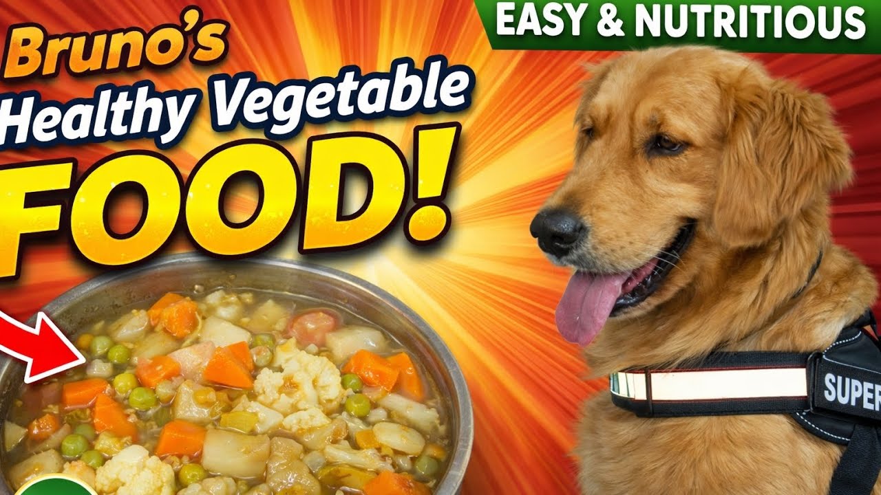 Bruno’s Healthy Vegetable Food 🥕🐶 | Easy & Nutritious Homemade Dog Meal