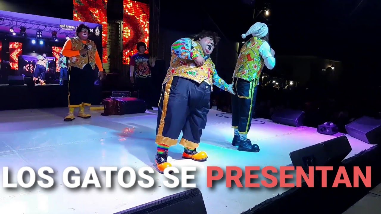 Los Tik-Tokers Gatos del Norte. en Ciudad Arce  2022. par. 3 (19)