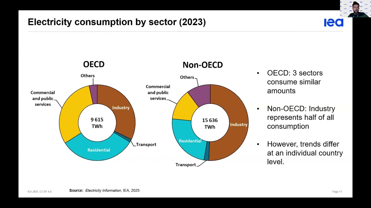 Webinar: IEA Statistics Training 2025 - Electricity and Heat (English)
