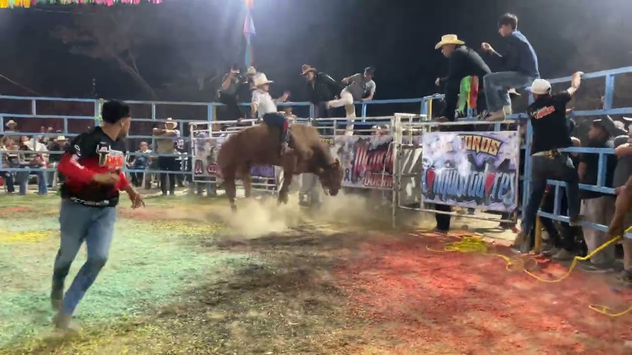 Los toros malditos de ramcho los temibles Detonador vs Gabino de Lagunillas 