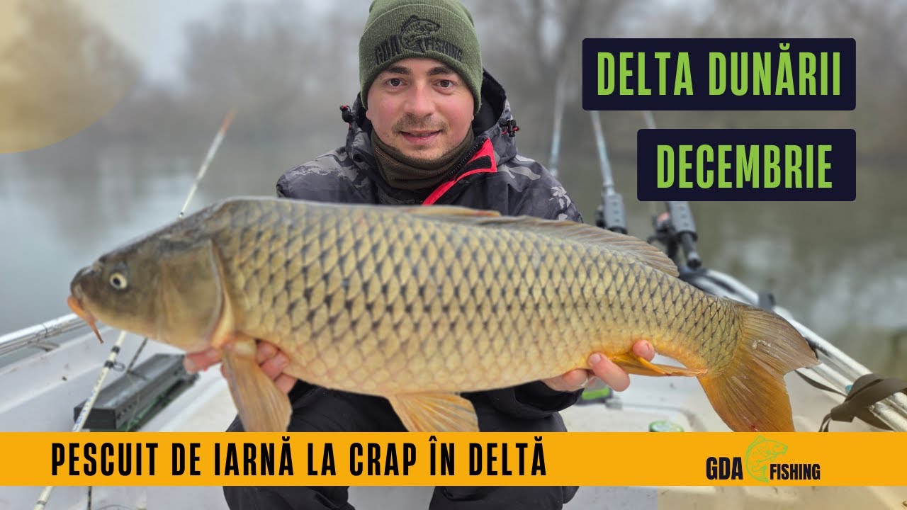 Pescuit la crap iarna în Delta Dunării – Strategia care a funcționat