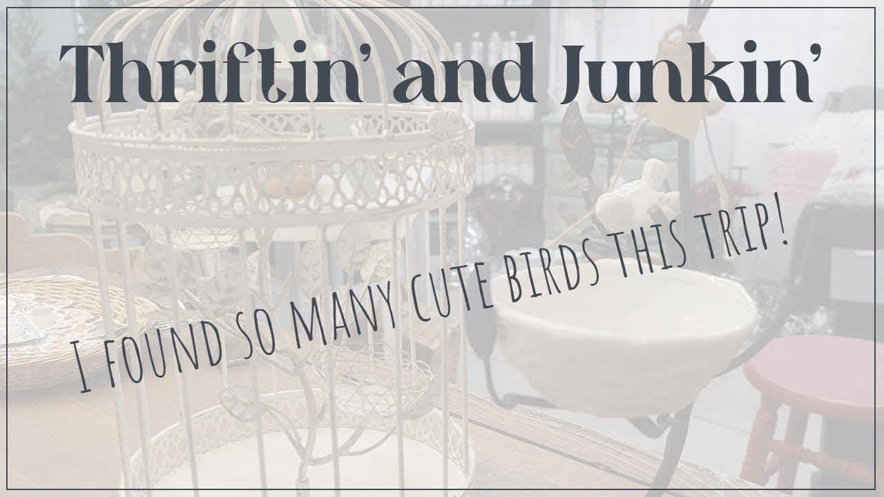 Thriftin and Junkin - I Found Some Cute Birds!