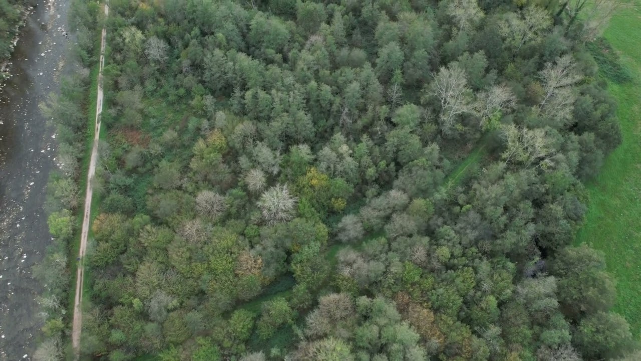 NATURALEZA Nº 6