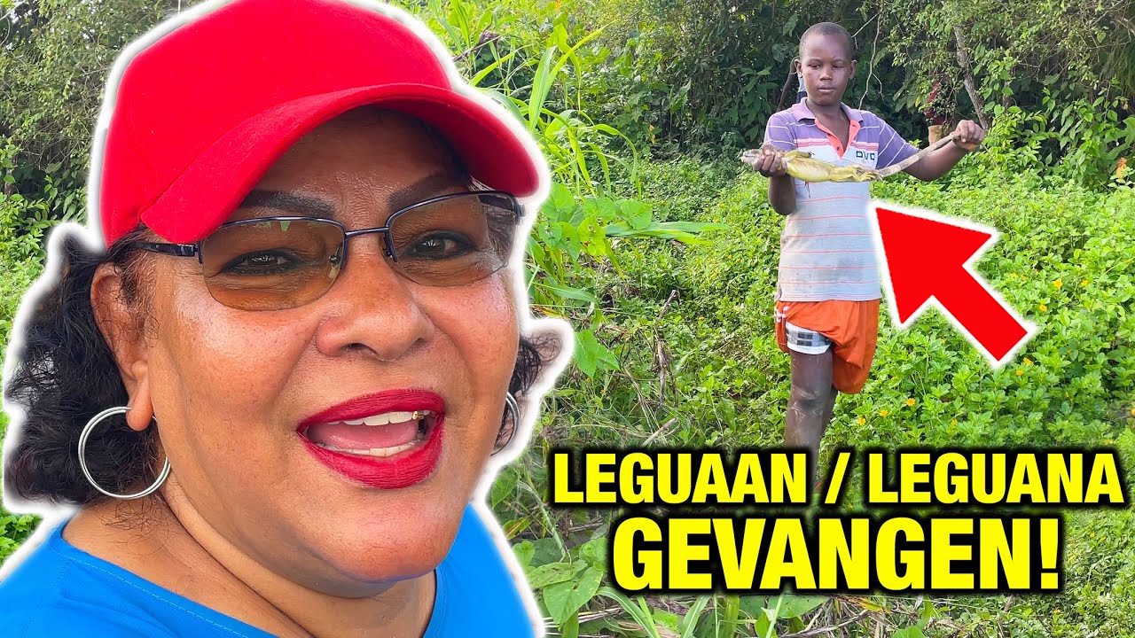 Leguaan Gevangen In Het Bos | Afscheid Feestje Suriname | Wandelen In Panama | Suriname Rivier