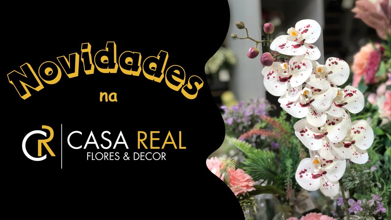 Novidades no SHOWROOM