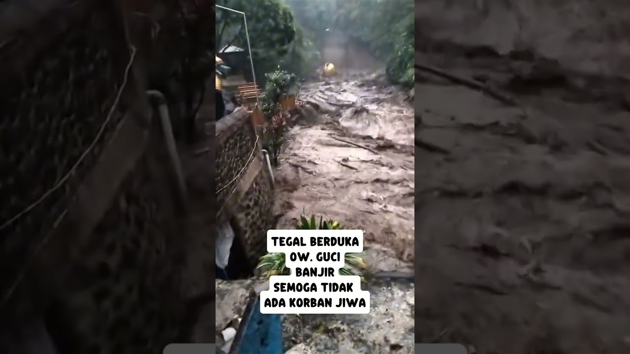 TEGAL BERDUKA OW. GUCI BANJIR #shorts #banjir #banjirbandang #gucitegal #tegal