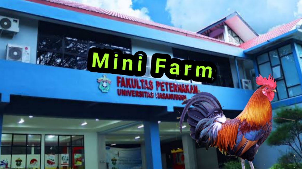 Farm Fakultas Peternakan Unhas