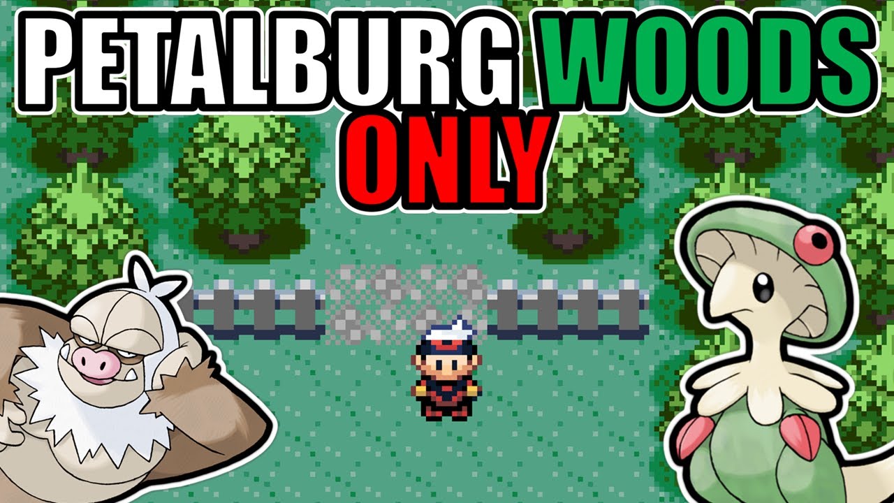 Can you beat Pokémon Ruby with only Petalburg Woods Pokémon?