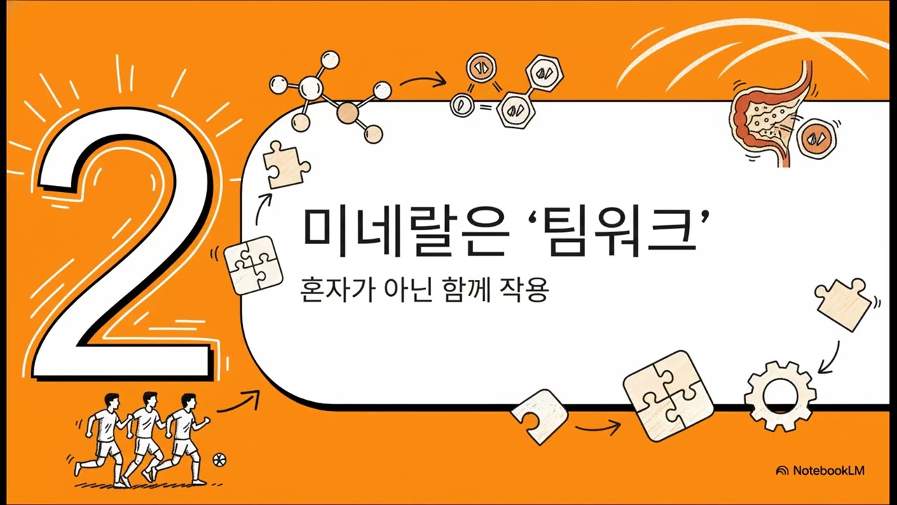 영양제값 90% 버리는 최악의 실수. 칼슘, 마그네슘 흡수율 2배 올리는 ‘이것’의 정체