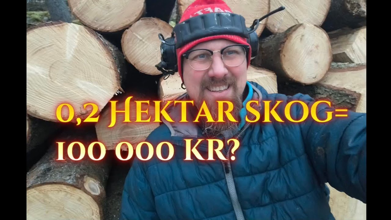 Tar ner skog för att täcka kostnaderna för ny avloppsanläggning 😵🙄🤷🏽