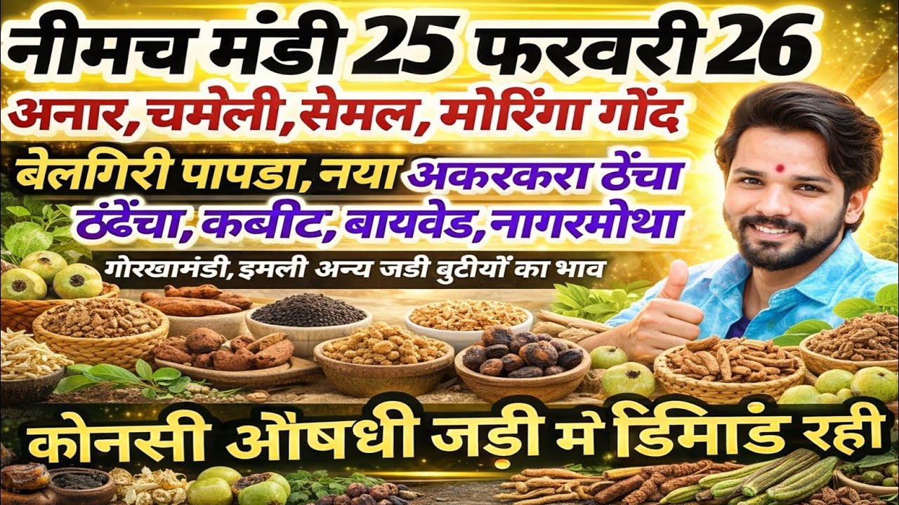 नीमच मंडी भाव। आज का औषधी जड़ी बूटियों का भाव। औषधी भाव। Neemuch mandi bhav today aushdhi bhav 