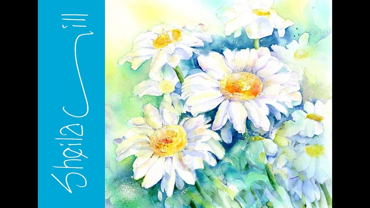 How to paint a white Daisy by UK artist Sheila Gill