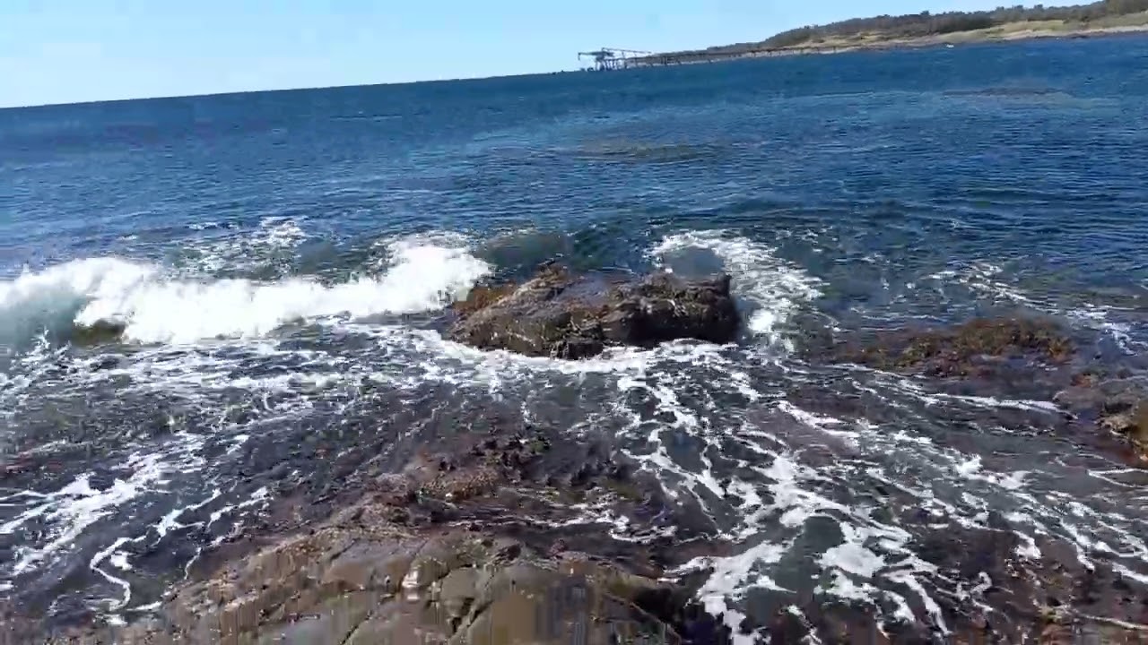 Shellharbour Shellcove Bass Point