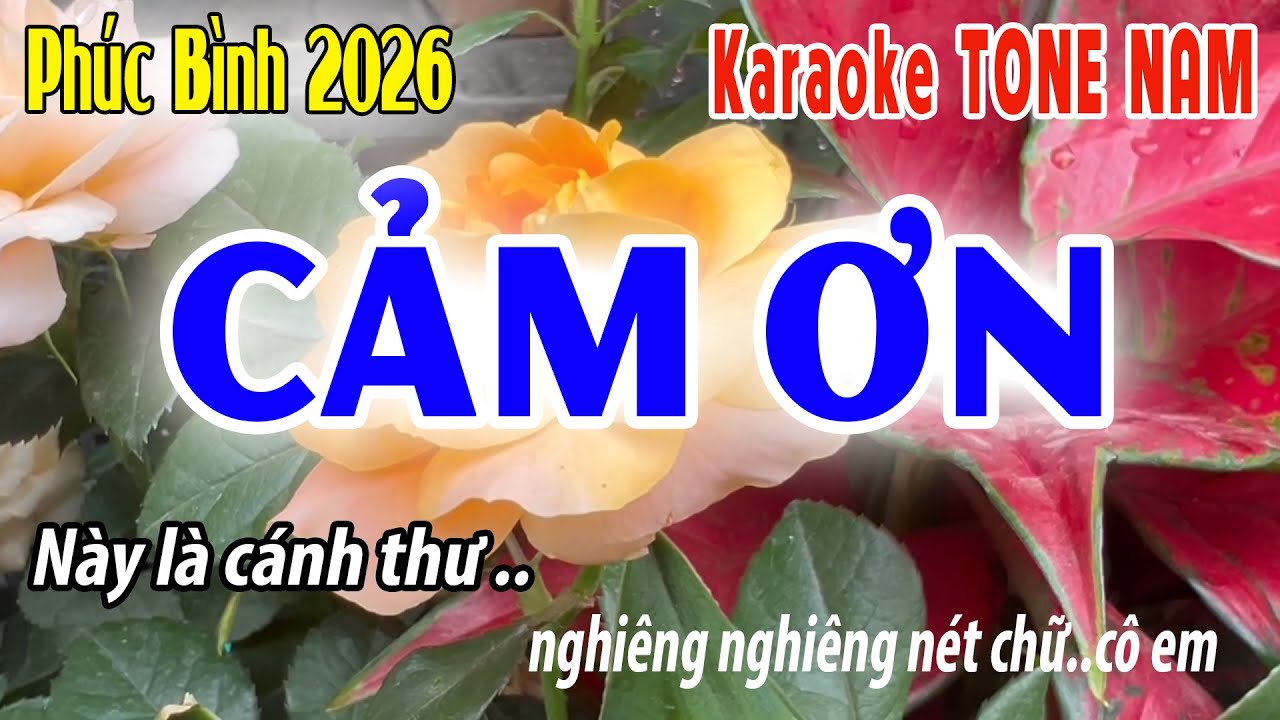 Cảm Ơn - Tone Nam | Cm | Karaoke Ph&uacute;c Binh - Beat 2026